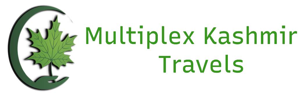 Multiplex Kashmir Travels