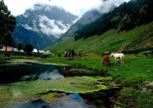 Fascinating Kashmir Holiday with Gulmarg